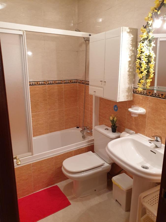 Apartamentos Dana Sol Мадрид Экстерьер фото